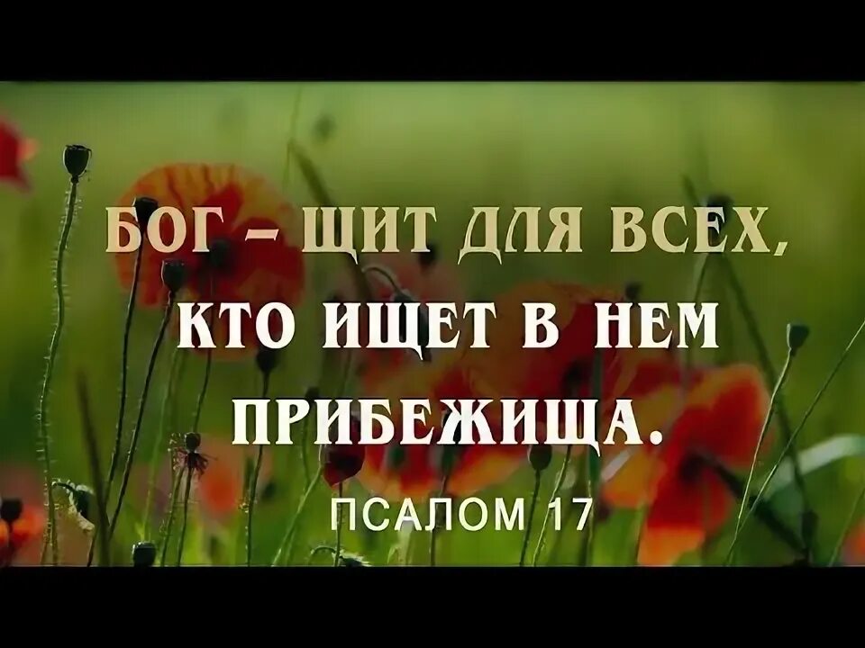 Псалом 17 читать на русском. Псалом 17. Псалом 17 3. Псалом 17-19. Особенности 17 псалма.