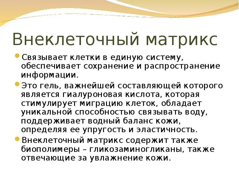Компонент внеклеточного матрикса. Нарушение белкового обмена внеклеточного. Компонент внеклеточного матрикса. Внеклеточный матрикс и базальная мембрана. Внеклеточный матрикс нервной ткани.
