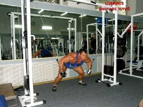 Спорткомплекс химик россошь. Спортзал россошь. X fit россошь. Фитнес клуб россошь. Спортзал россошь.