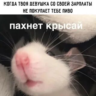 Звук да это я