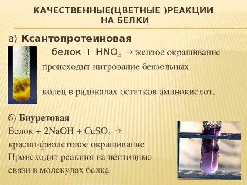 Золото с водой реакция. Ксантопротеиновая реакция ксантопротеиновая реакция. Цветные реакции белка: биуретовая ксантопротеиновая реакция. Цветная реакция белка ксантопротеиновая реакция. Биуретовая реакция на белки cuso4 NAOH.