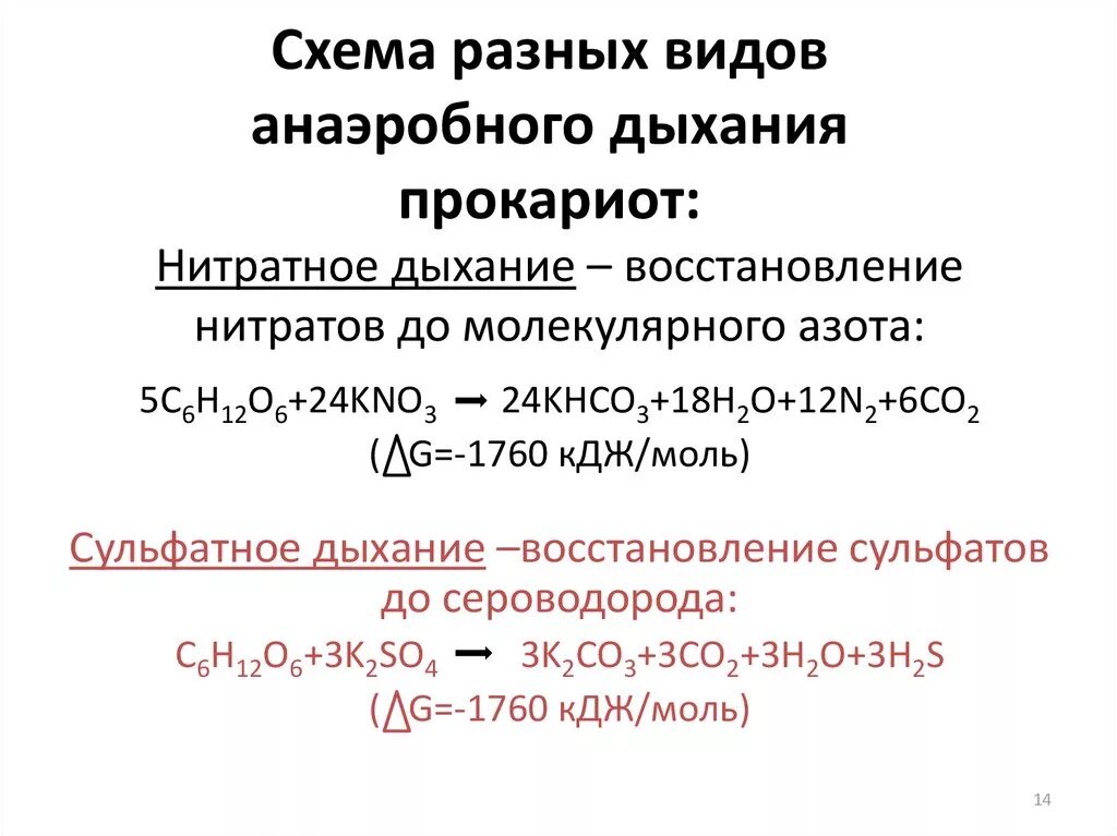 Дыхание прокариот. Анаэробное нитратное дыхание. Нитратное дыхание микроорганизмов. Типы анаэробного дыхания у прокариот. Аэробное дыхание прокариот.