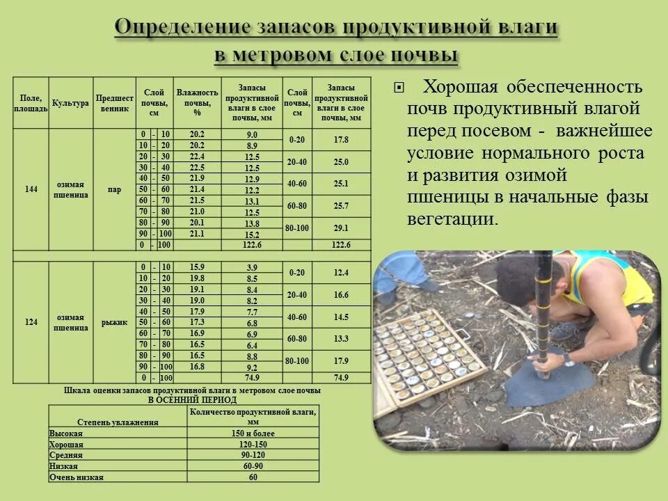 Запасы продуктивной влаги в почве формула. Расчет запасов влаги в почве. Продуктивная влажность почвы это. Продуктивная влага. Запасы продуктивной влаги в метровом слое почвы.