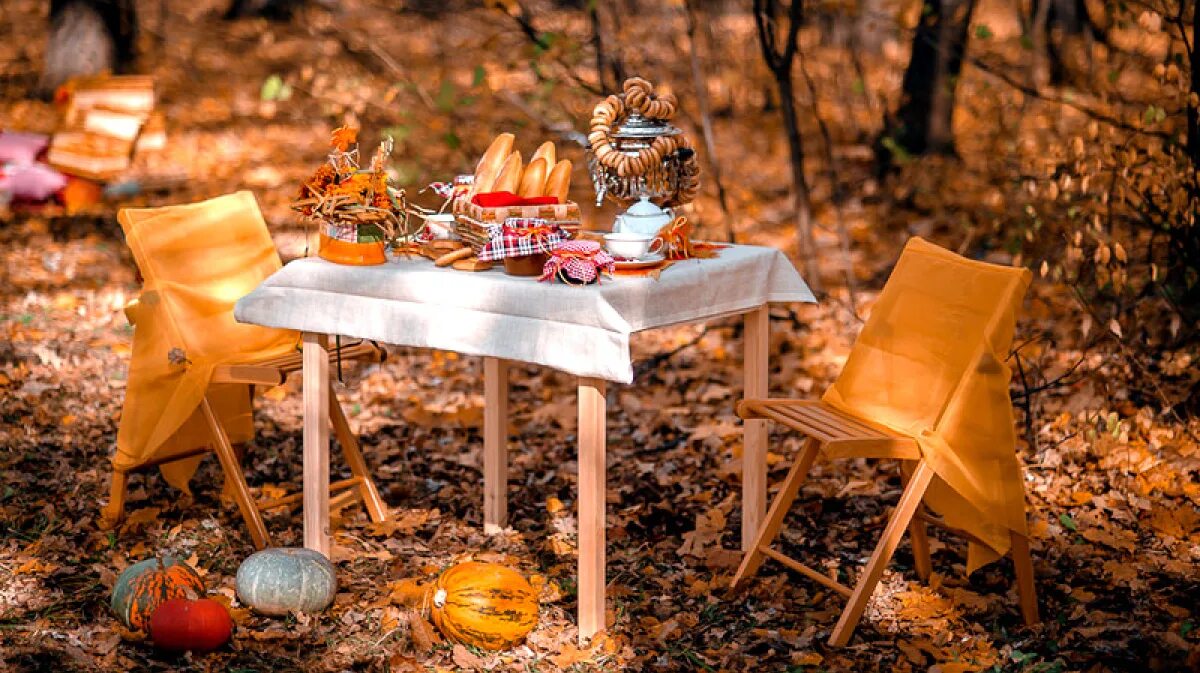 Осенний пикник на природе. Чаепитие в осеннем лесу. Осенний стол. Столик в лесу.