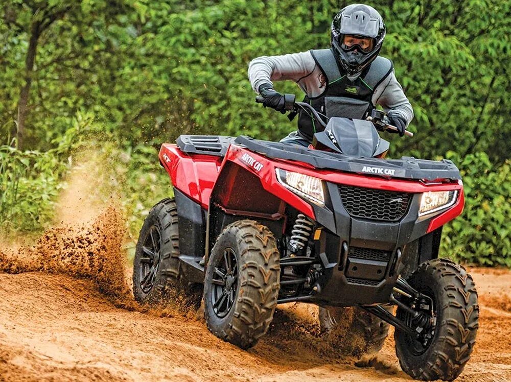 Квадроцикл двухместный. Номер квадриков. Honda trx680fa. Гос номер на квадроцикл. Квадроцикл cforce 800.
