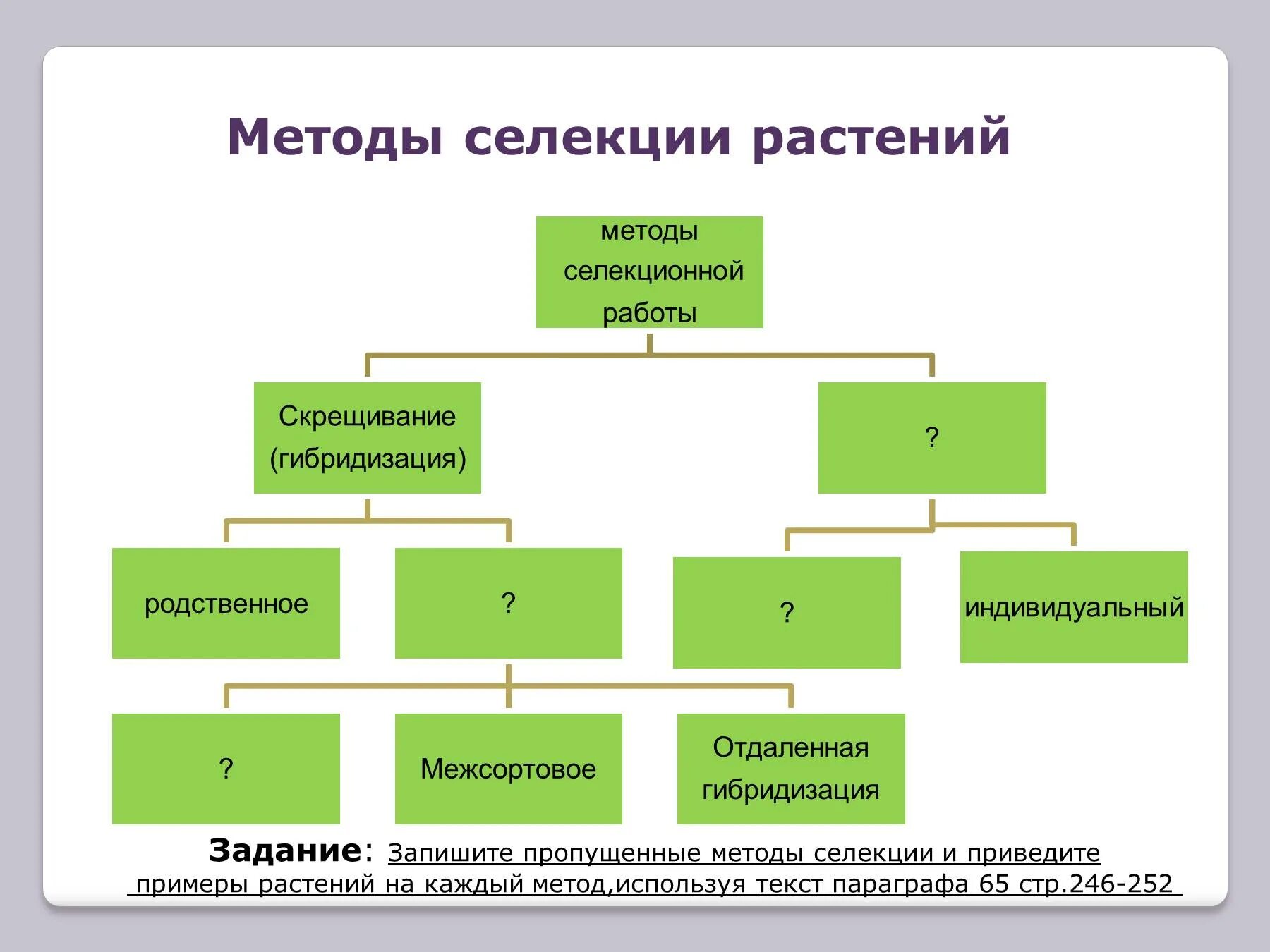 Метод применяемый в селекции. Методы селекции растений схема. методы общие для селекции растений и животных. основные методы селекции животных схема. методы селекции растений 9 класс биология.