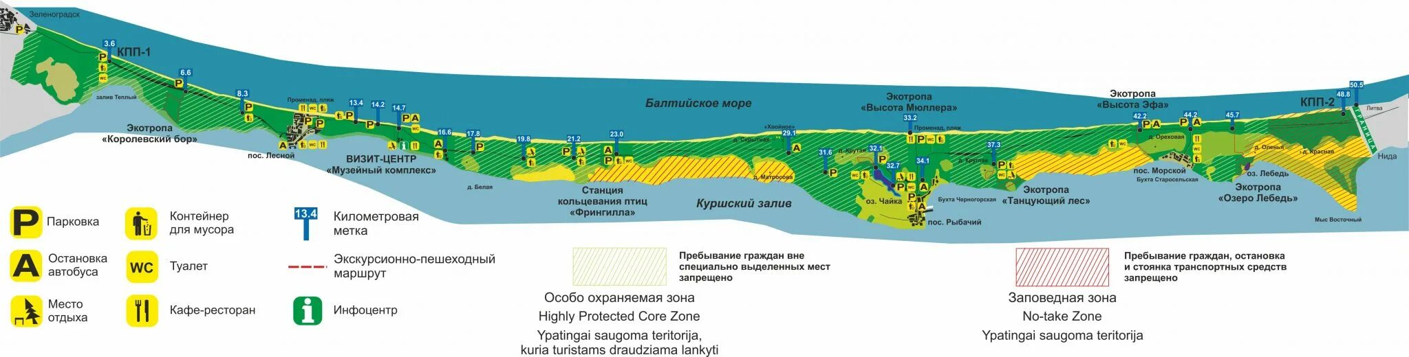 Автобус 210 зеленоградск куршская. Карта национального парка Куршская коса. Карта Куршской косы Калининградская область. Куршская коса карта схема. Национальный парк Куршская коса на карте.