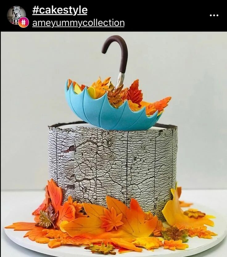 Autumn inspired chocolate ganache cake decorated with fresh fruit on an orangey 