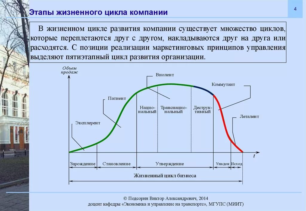 Организация ее жизненный цикл