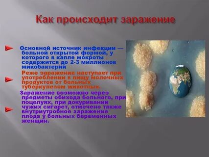 Как происходит заражение почтовым вирусом ответ