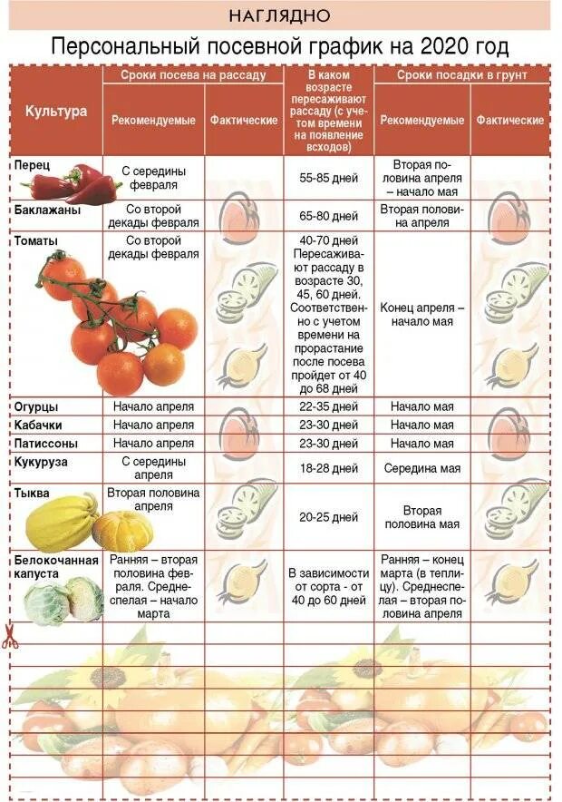 Сроки посева семян овощных культур на рассаду. Таблица высадки овощей на рассаду. Таблица посева семян овощных культур в открытый грунт. Сроки посадки овощных культур в открытый грунт. В какие дни можно сажать перец