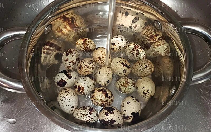 Сколько надо варить перепелиные. Варка перепелиных яиц. Как варить перепелиные яйца. Сколько времени варить перепелиные яйца. Сколько минут варить перепелиные яйца.