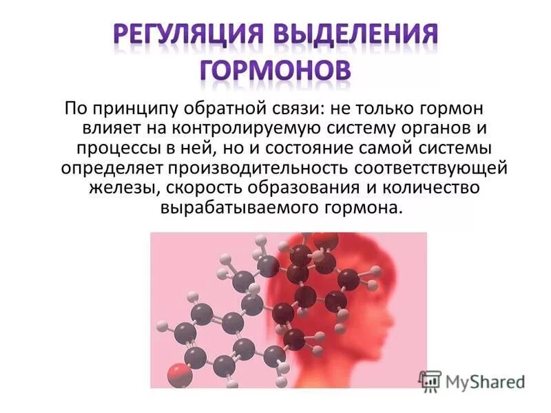 Презентация на тему гормоны. Регуляция выделения гормонов.