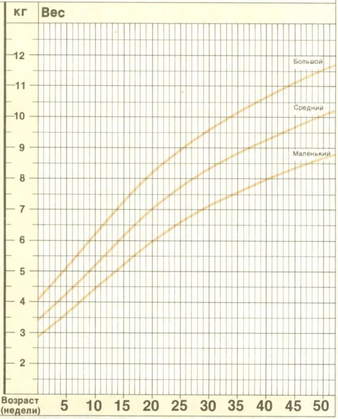 Вес ребенка до года. График прибавки веса ребенка до года воз. Нормы набора веса грудничков воз. График прибавки веса воз для мальчиков. Прибавка в весе по месяцам до года воз.