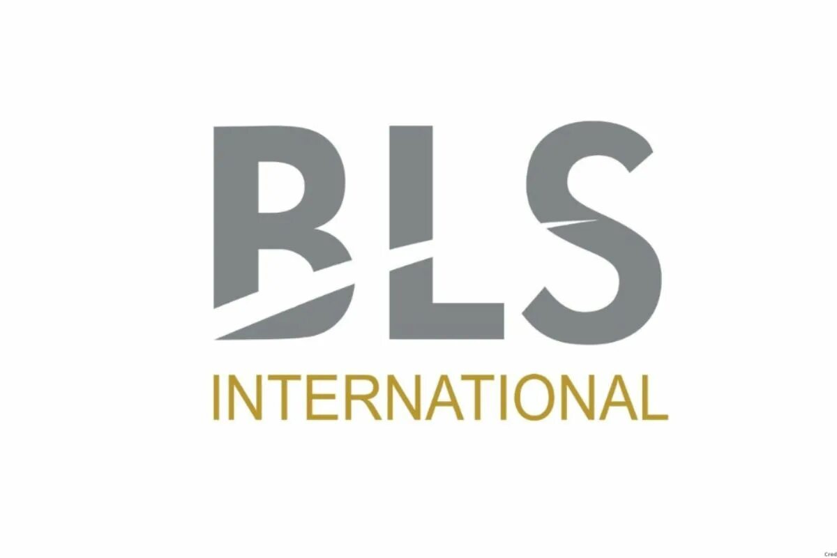 Bls visa. DVV International логотип. BLS Испания визовый центр. Генеральный директор BLS International. Каниф Интернейшнл лого.