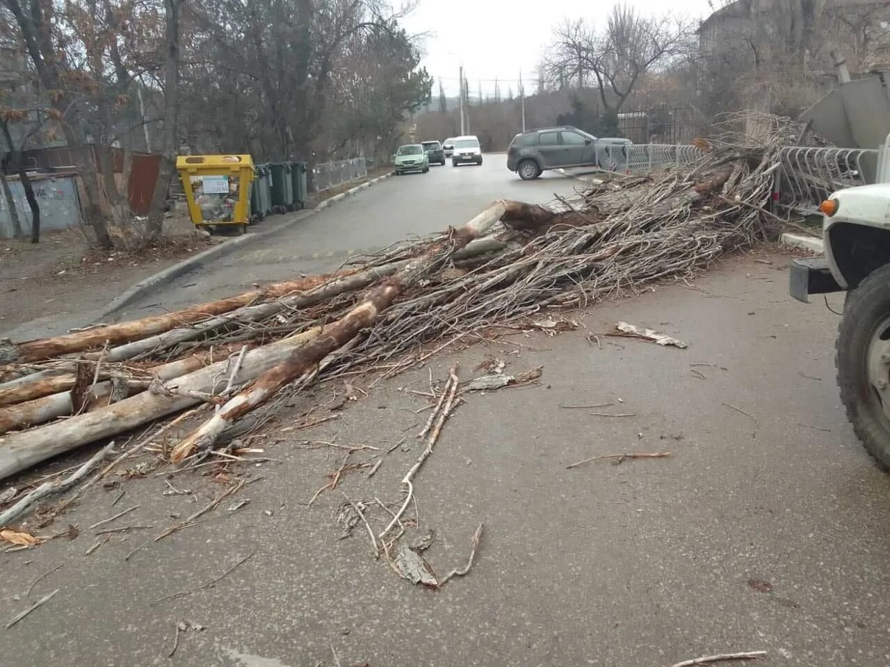 Грозили сегодня. Ураган в Севастополе. Поваленное дерево. Ветер повалил деревья. Упавшее дерево.