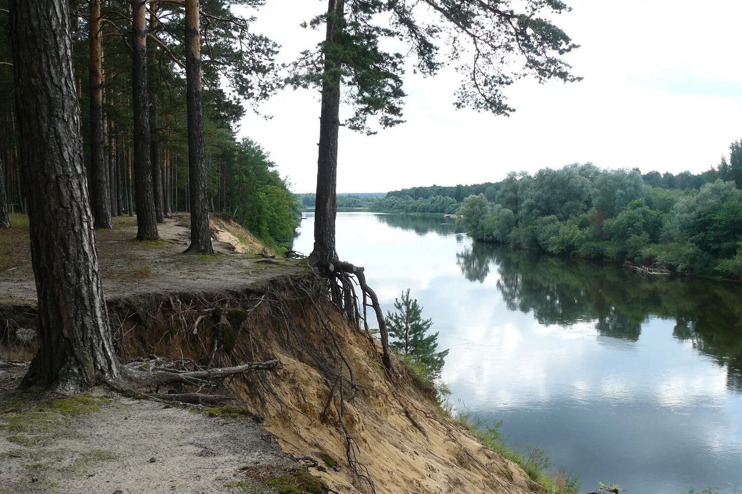 достопримечательности на реке клязьма. клязьма щелково. берег клязьмы. берег реки клязьма владимирская область. берег клязьмы.