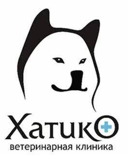 Отзывы клиники хатико