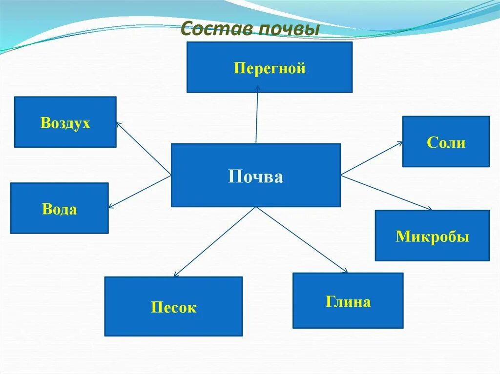 Состав почвы. Вода в составе почвы. Почва состав почвы. Состав почвы схема.