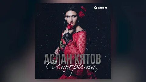 Песня не судите музыканта