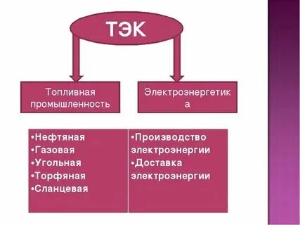 Назовите отрасли входящие в состав тэк. Назовите отрасли входящие в состав тэк