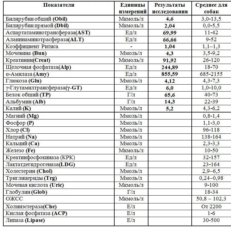 Алт аст глюкоза. Биохимический анализ крови норма непрямой билирубин. Биохимический анализ крови билирубин общий норма. Билирубин в анализе крови норма у детей. Норма биохимического показателя крови биохимического анализа.