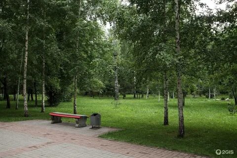 Березовая роща новосибирск адрес