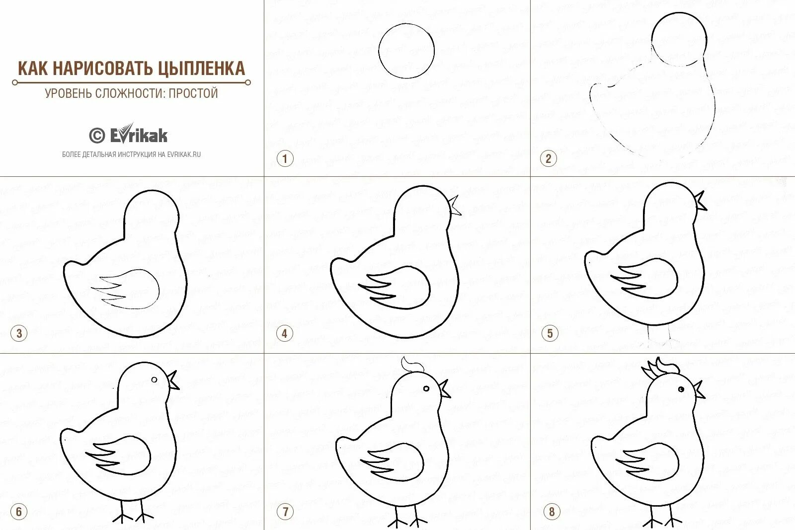 Курица нарисовать легко. Цыпленок рисунок по этапно. Поэтапное рисование курицы для детей. Схема рисования курица для детей. Рисунок цыпленок для детей пошагово.