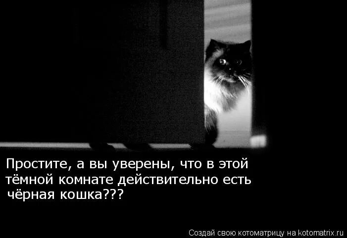 Не ищите черную кошку в темной комнате особенно если ее там нет автор. Трудно искать чёрную кошку в тёмной комнате. Афоризмы про черного кота. Трудно найти в темной комнате. Не ищите черную кошку в черной комнате.