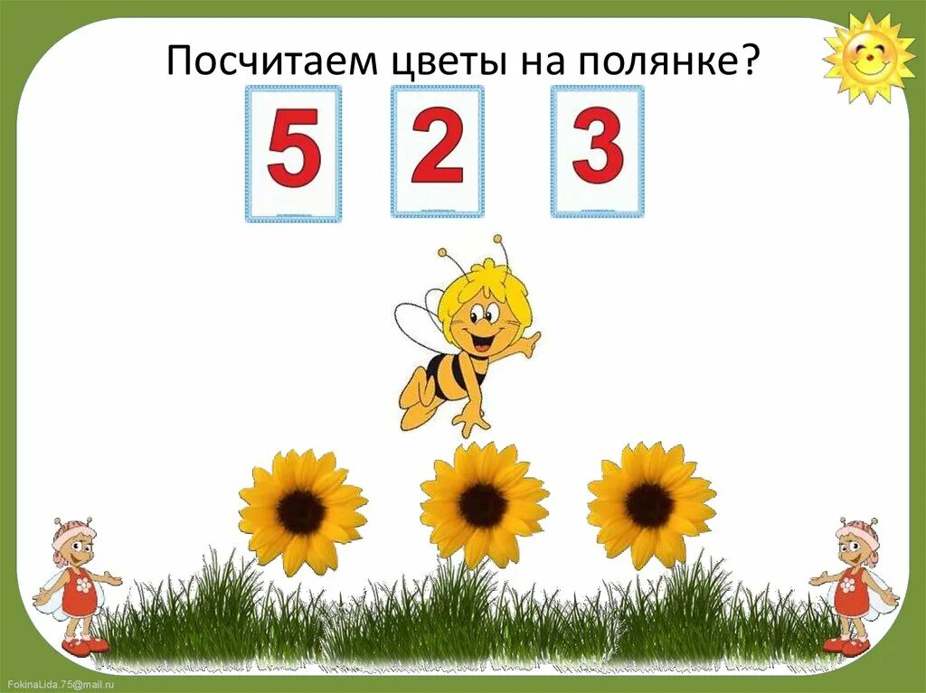 Чисел растение