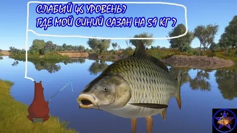 Рр4 махи