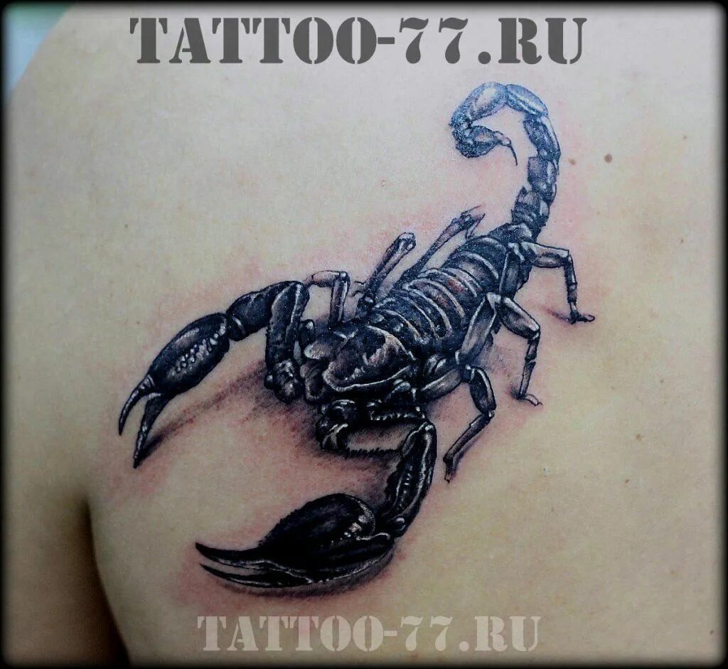 Армейский скорпион. Татуировка Скорпион. Скорпион тату эскиз. Эскизы тату Скорпион для мужчин на лопатке. Татуировки Скорпион для мужчин.