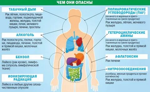 Жизни опасные органы