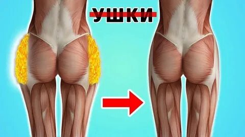 Ушки на ягодицах