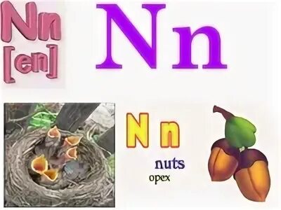 Английские слова на букву n