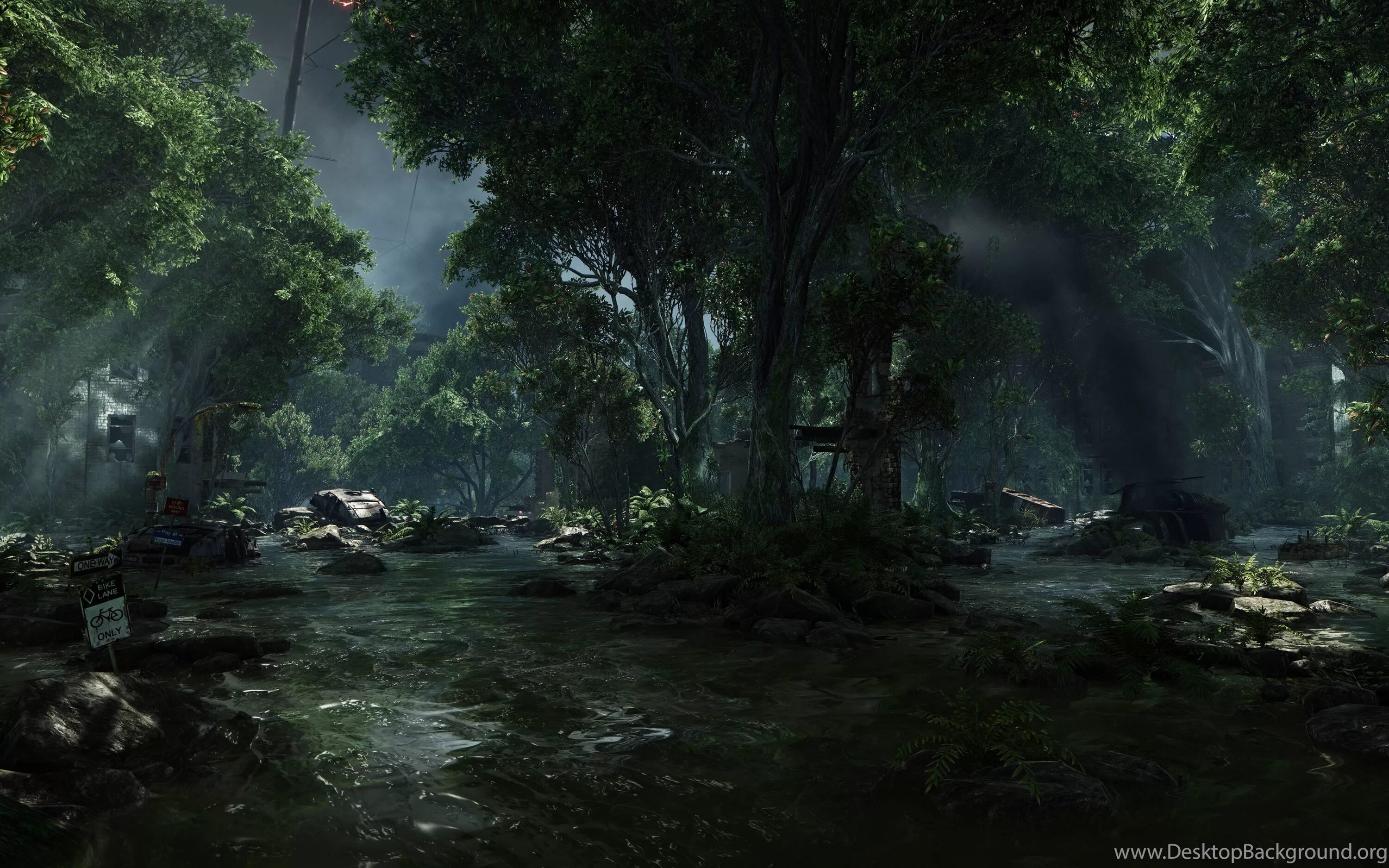 Apocalust 0.08. Крайзис 3. Crysis 3 ультра. Crysis 3 (2013). Лес.