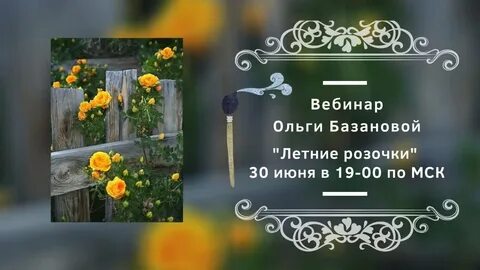 Вебинар ольги базановой