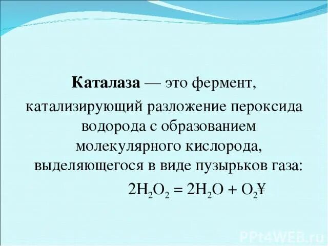 Каталаза. Каталаза строение. Фермент каталаза. Каталаза функции. При разложении пероксида водорода образуется