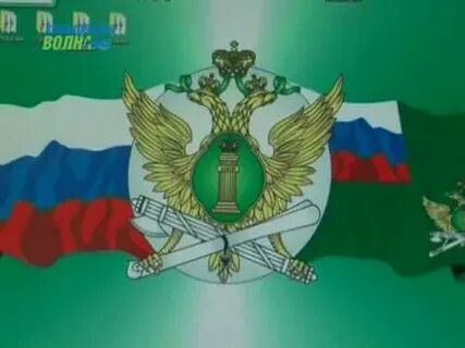 Приставы конаково