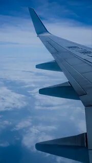 Under one wing
