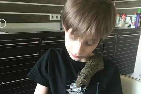 Оскар мальчика