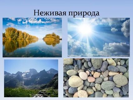 Неодушевленная природа