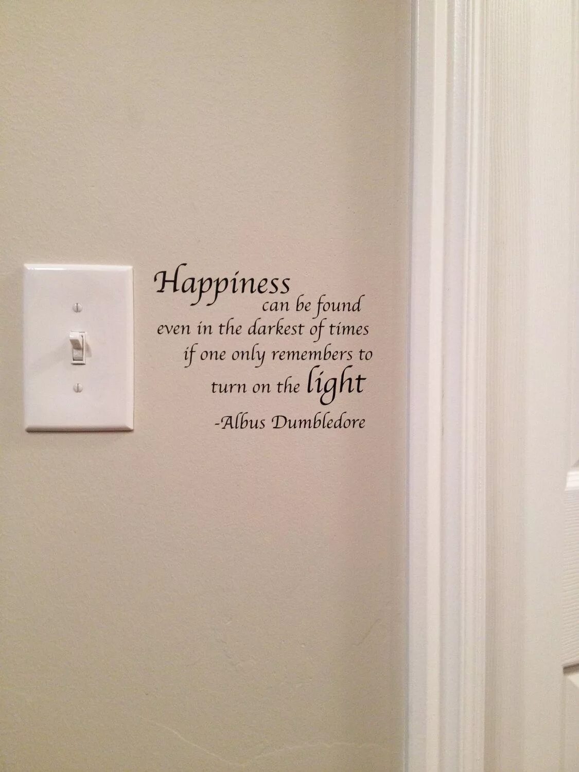 Happiness can be found even in the Darkest of times if one only remembers to turn on the Light. Happiness can be found even in the Darkest of times. Happiness can be found, even in the Darkest of times, if one only remembers to turn on the Light. — Albus Dumbledore. Happiness can be found even in the Darkest of times, if one only remembers to turn on the Light футболка. We turn on the light