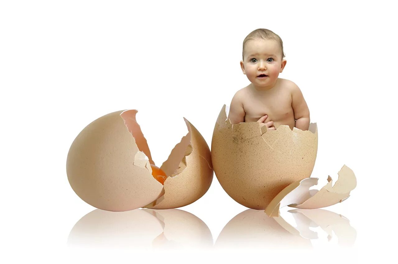 Картинка появляться. Человек вылупился из яйца. Яйцо для детей. Ребенок в скорлупе.