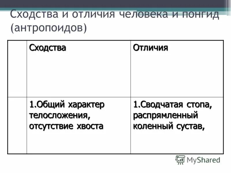 Различия между человеком и антропоидами. Сходства между человеком и антропоидами. Сходства и различия. Сходства и различия между человеком и антропоидами. Сходства и различия между людьми