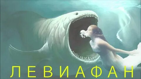 Истина тут