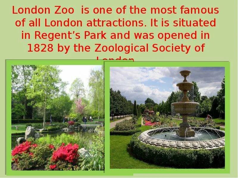 Реклама парка на английском. Парки на английском языке. Парки Лондона презентация. Лондонский зоопарк Риджентс-парк. Презентация на тему Лондонский зоопарк.