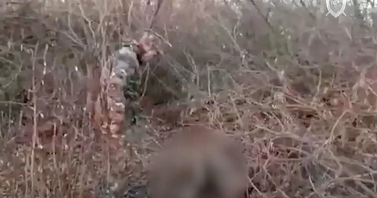 Пропавшая девочка в дагестане найдена. Волгоград убийство девочки. волгоград пропала девушка. пропала девочка под волгоградом. пропавшая девочка в волгограде.