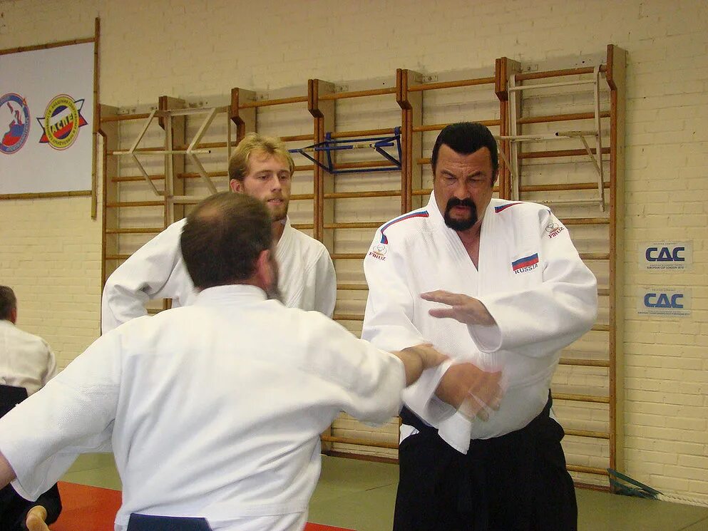 Сигал айкидо видео. Сигал айкидо видео