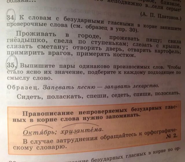 Выпишите пары одинаково произносимых слов. Полоскать одинаково произносимое слово. Предложение со словом поласкать. Пары одинаково произносимых слов 5 класс.